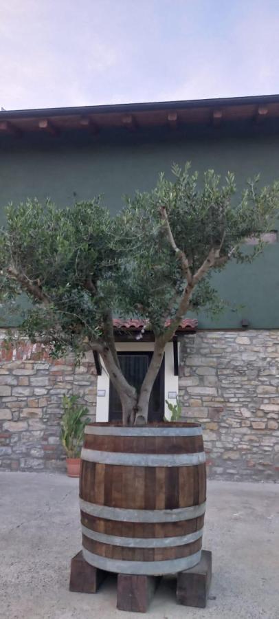1929 Wine Food Relax Agriturismo Acqui Terme Esterno foto