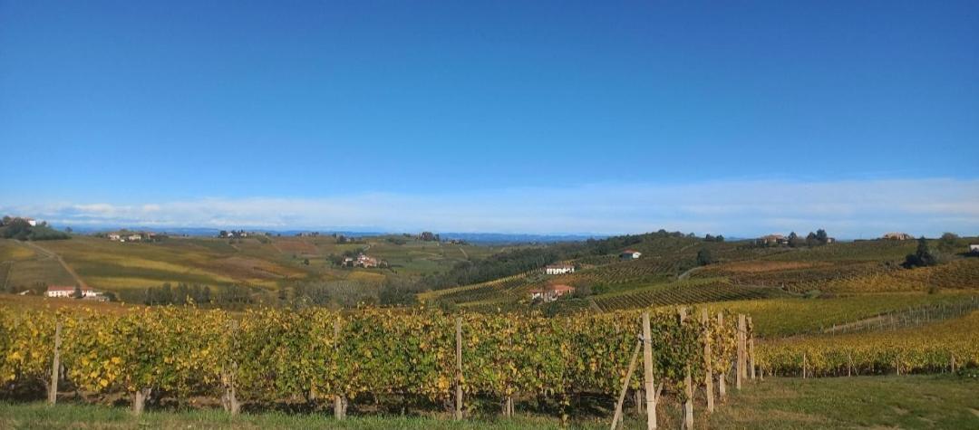 1929 Wine Food Relax Agriturismo Acqui Terme Esterno foto