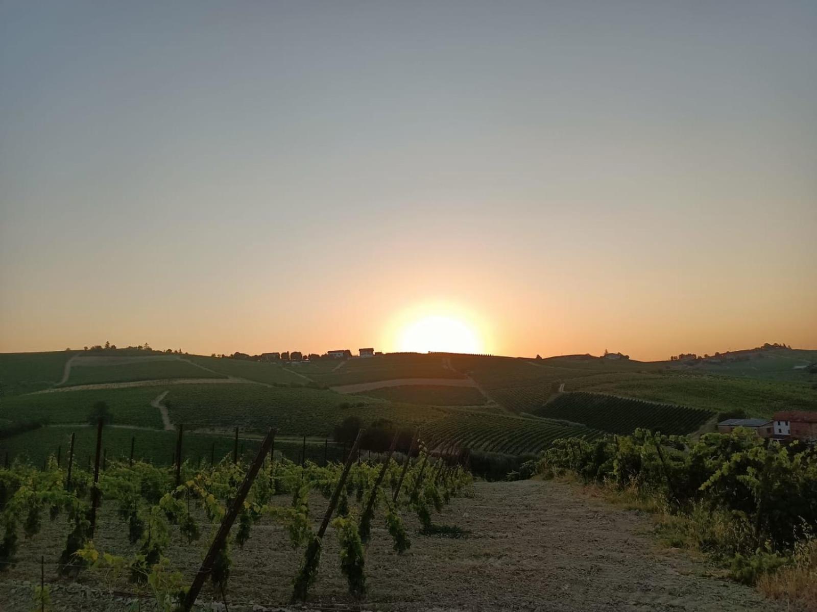1929 Wine Food Relax Agriturismo Acqui Terme Esterno foto