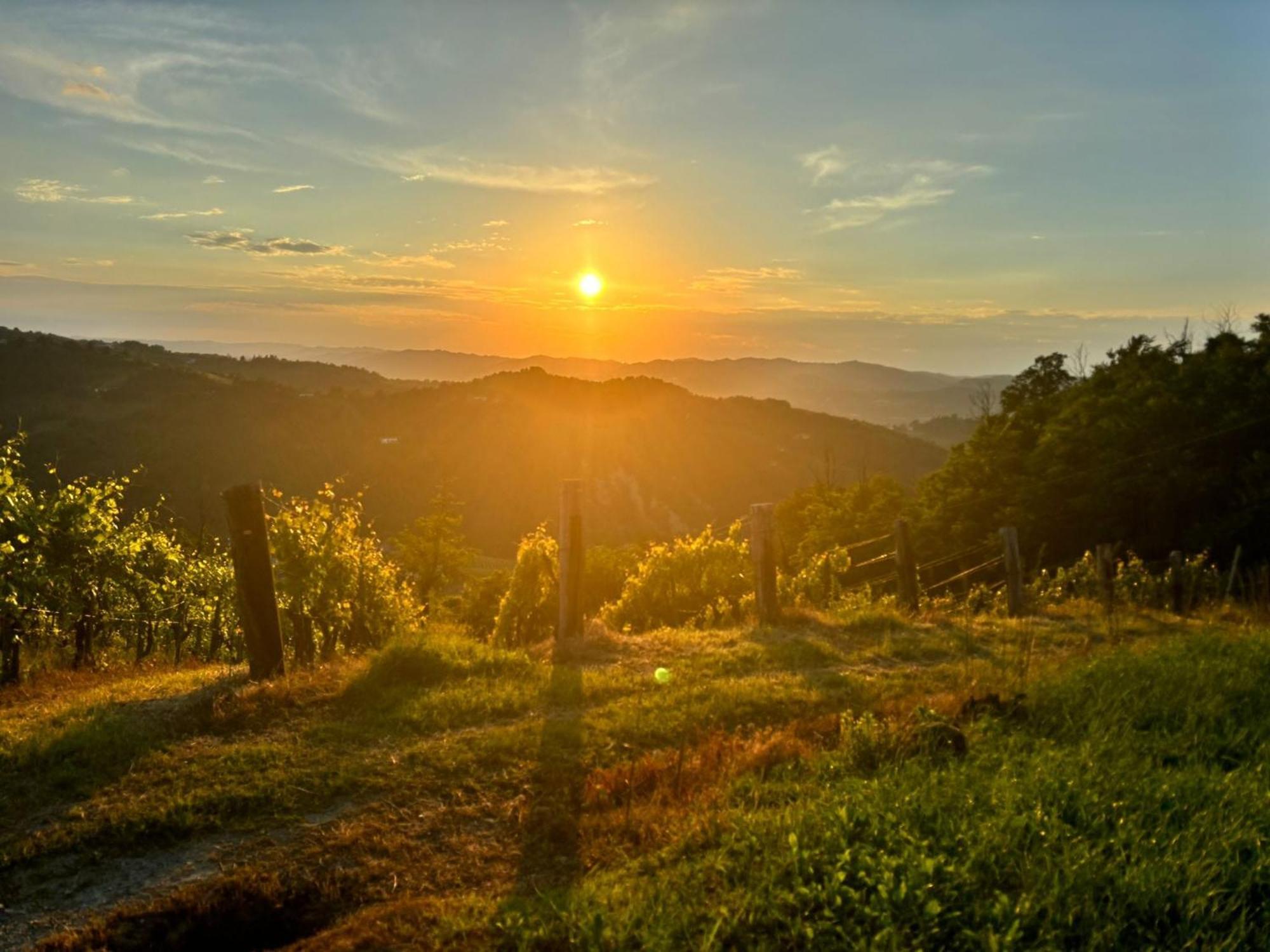 1929 Wine Food Relax Agriturismo Acqui Terme Esterno foto